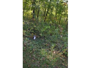 Property photo 42 - REAL ESTATE AUCTION IN ALLEN CO., INDIANA